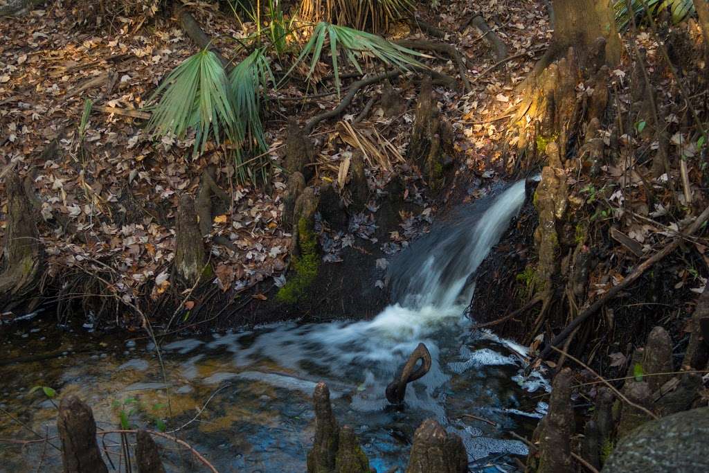 Boonie Falls | Oviedo, FL 32765, USA