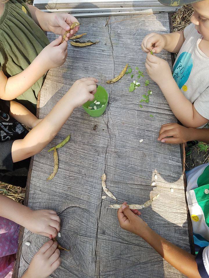 Little Leaf Discovery School | 3217 Forestville Rd, Raleigh, NC 27616 | Phone: (919) 373-8440