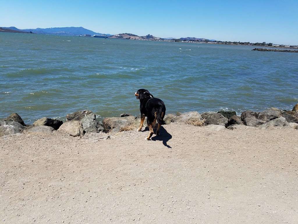 Point Isabel Regional Shoreline | 2701 Isabel St, Richmond, CA 94804 | Phone: (888) 327-2757