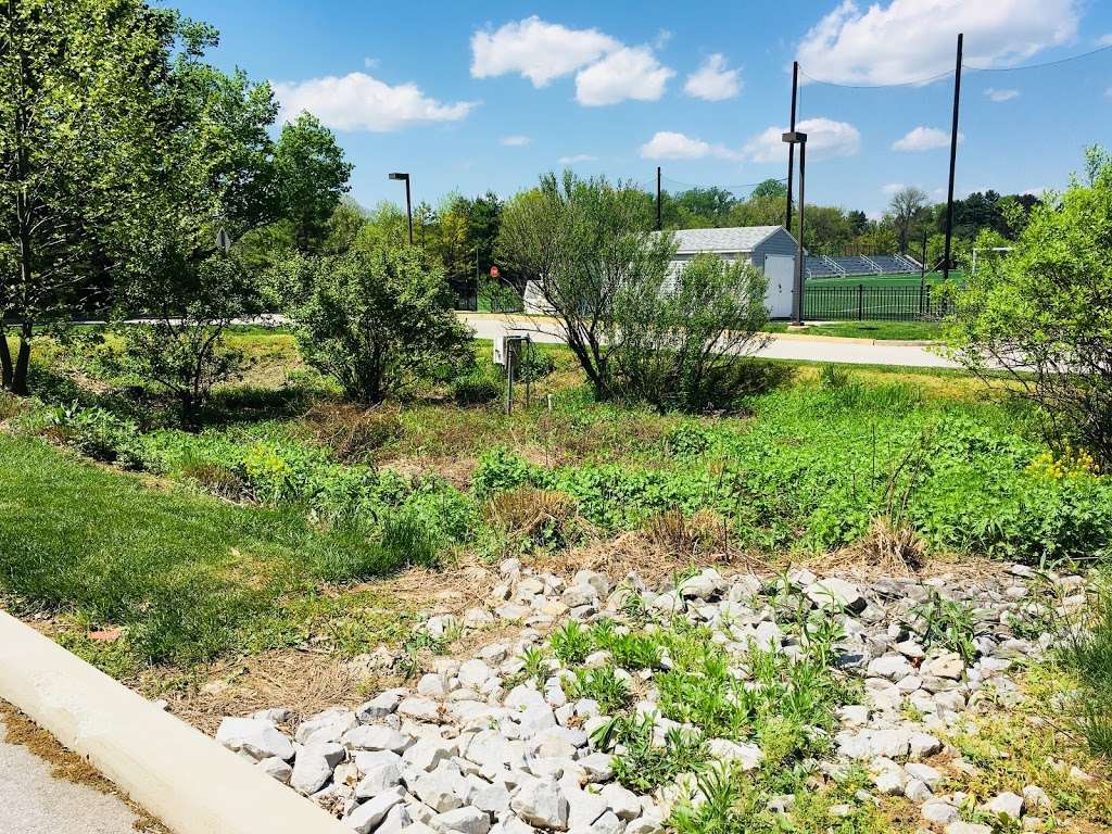 Villanova Bioinfiltration Traffic Island | Villanova, PA 19085, USA