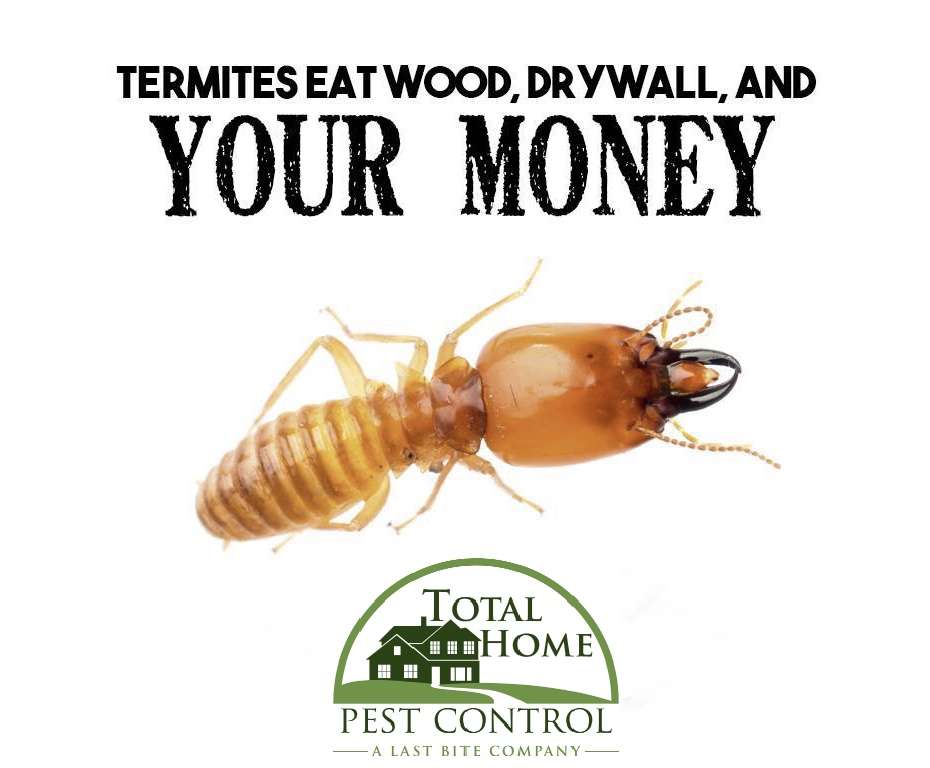 Total Home Pest Control | 119 Borden Rd, Middletown, NJ 07748, USA | Phone: (732) 938-3232