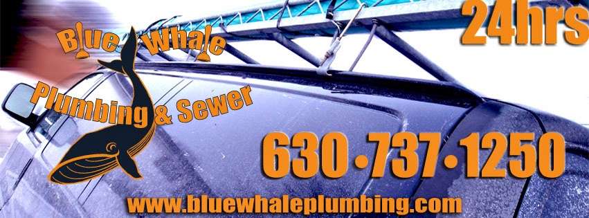 Blue Whale Plumbing and Sewer | 110 Kirkland Cir Unit I, Oswego, IL 60543, USA | Phone: (630) 737-1250
