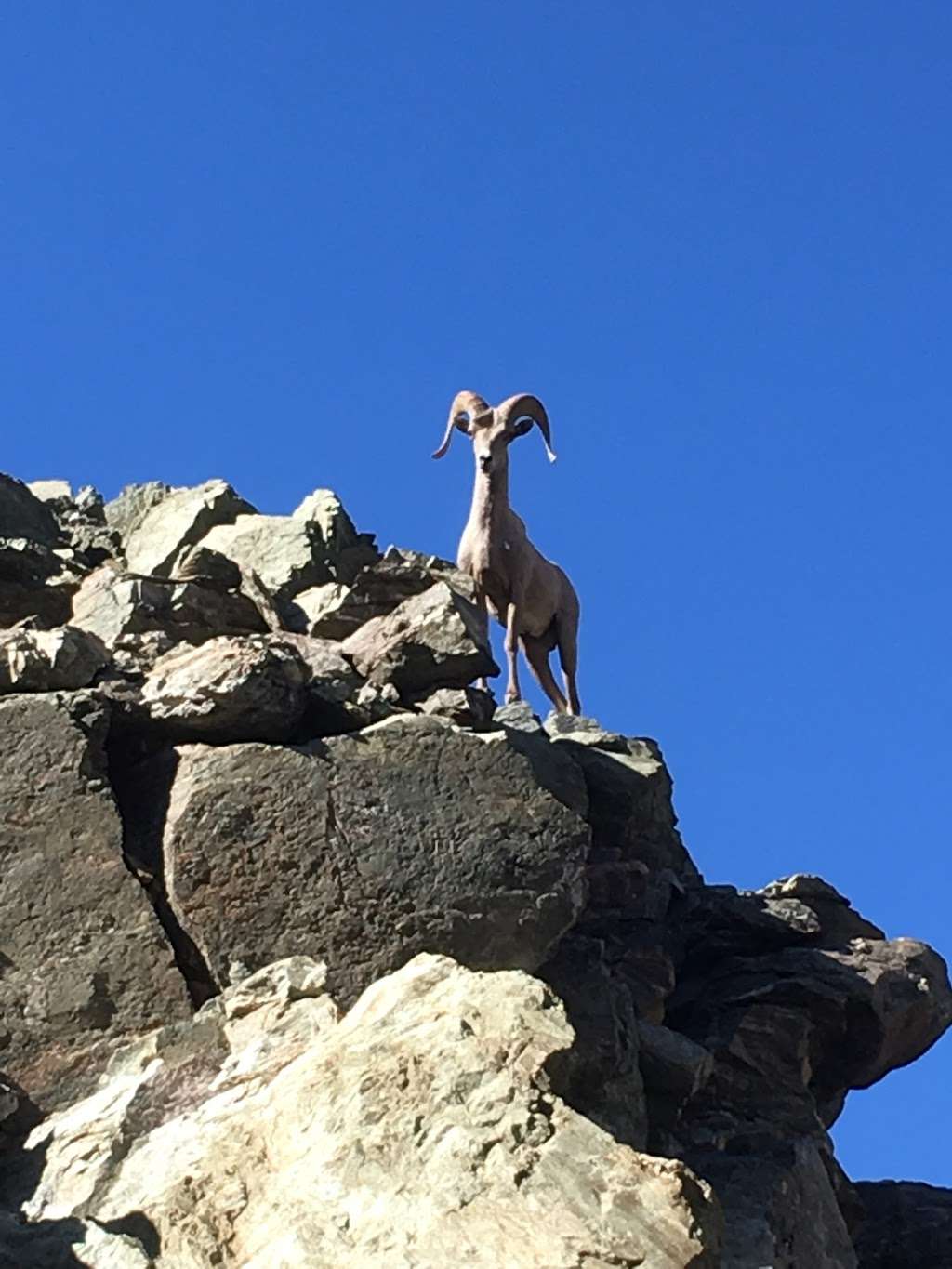 Sheep Mountain Wilderness | Mt Baldy, CA 91759, USA | Phone: (626) 574-1613