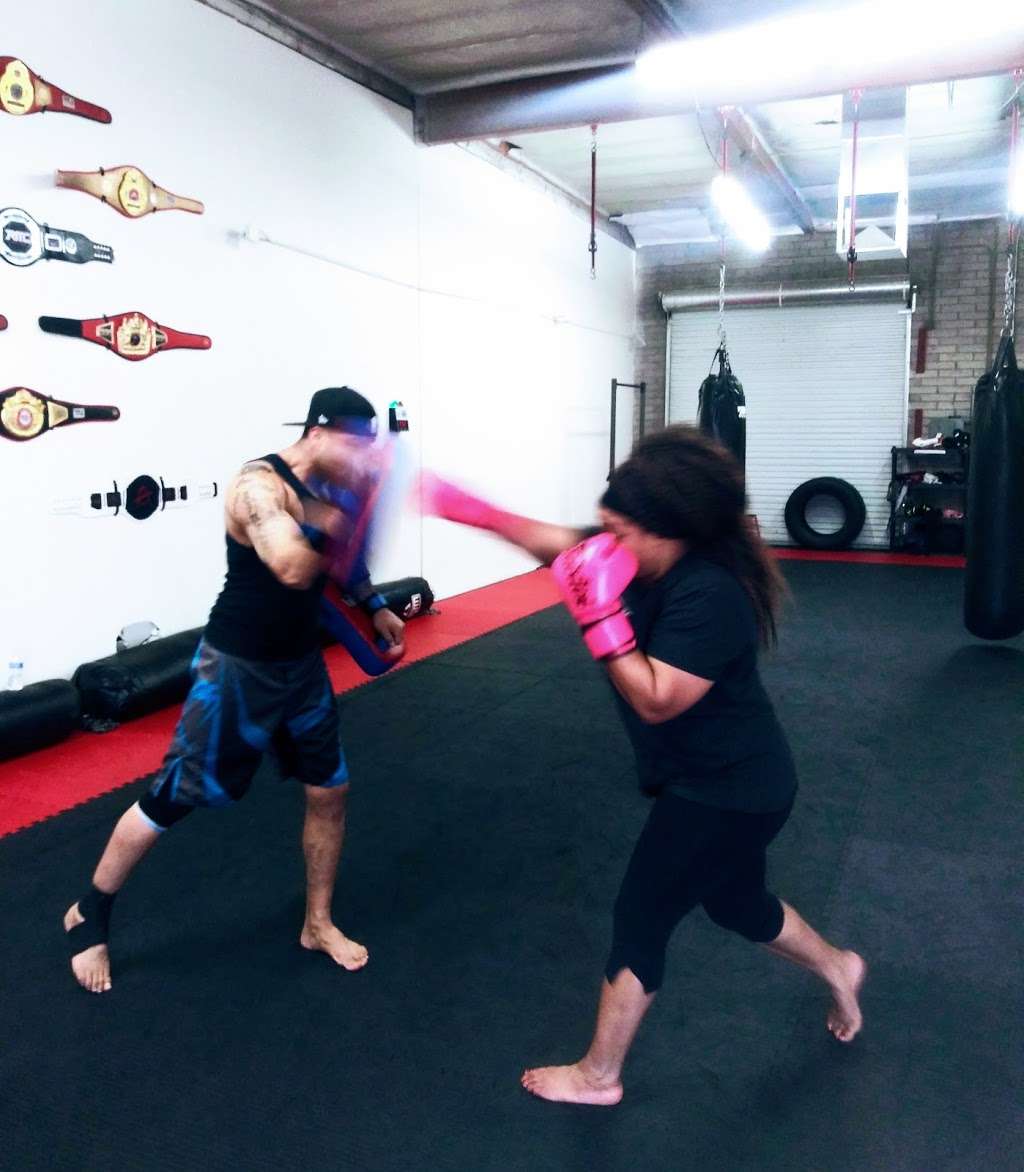 Dragon-Snake MMA & Fitness | 425 S McClintock Dr #3, Tempe, AZ 85281, USA | Phone: (480) 548-2432