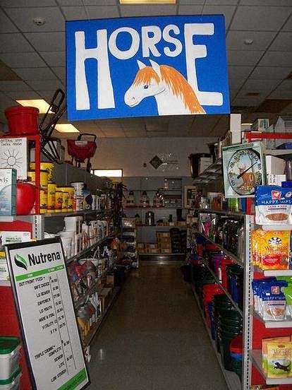 Out Front Farm Pet Supply | 179 Main St, Monroe, CT 06468 | Phone: (203) 261-8499