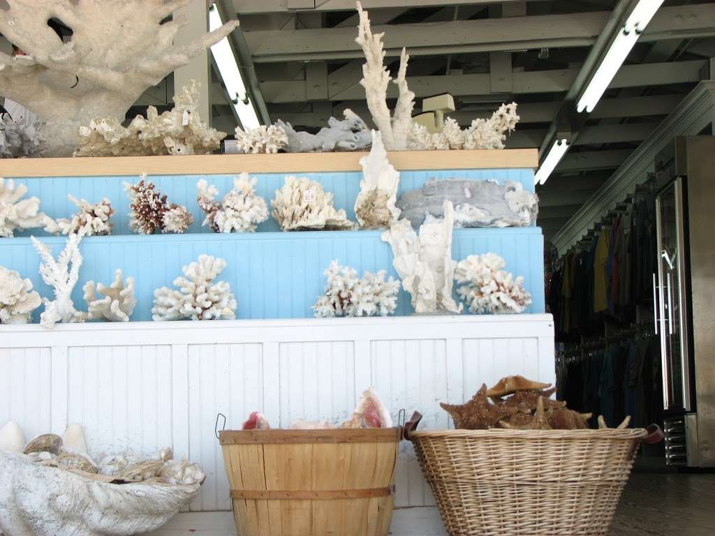 Mermaid Souvenir Pier | 2215 Seawall Blvd, Galveston, TX 77550, USA | Phone: (409) 762-7477