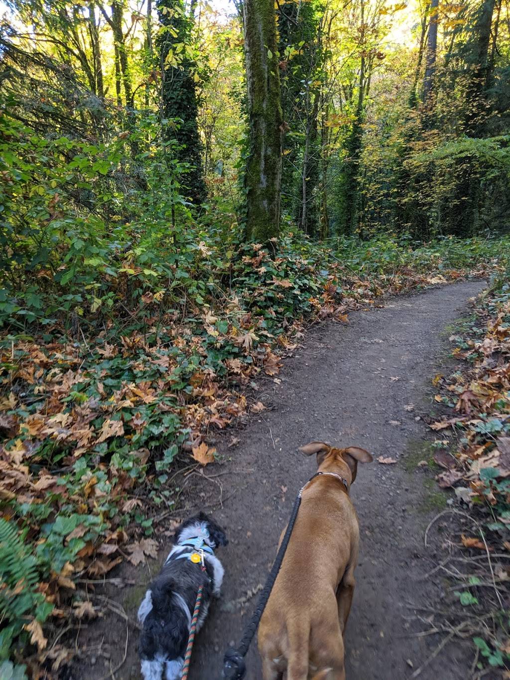 Marquam Nature Park | Main entrance:, SW Marquam St, Portland, OR 97201, USA | Phone: (971) 599-3667