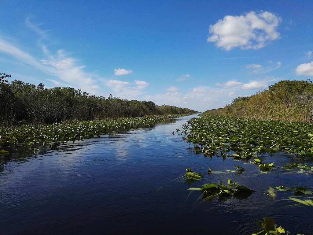 East Coast Buffer Water Preserve Area | Weston, FL 33332, USA | Phone: (866) 433-6312