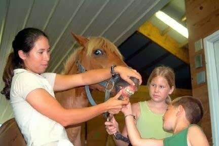 Amanda Church-Hansens Equine Dental Services | 112 Arundel Ln, Elkton, MD 21921 | Phone: (302) 561-4666