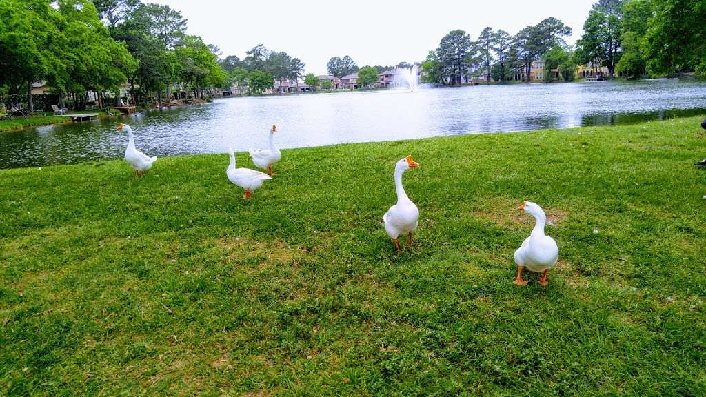 Senterra Lakes Park | Spring, TX 77379, USA