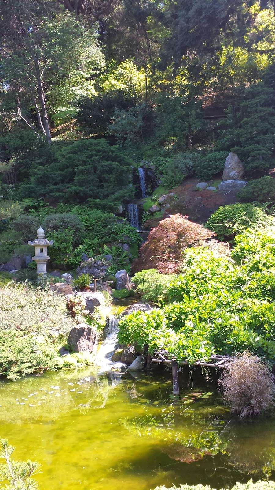 Hakone Estate and Gardens | 21000 Big Basin Way, Saratoga, CA 95070, USA | Phone: (408) 741-4994