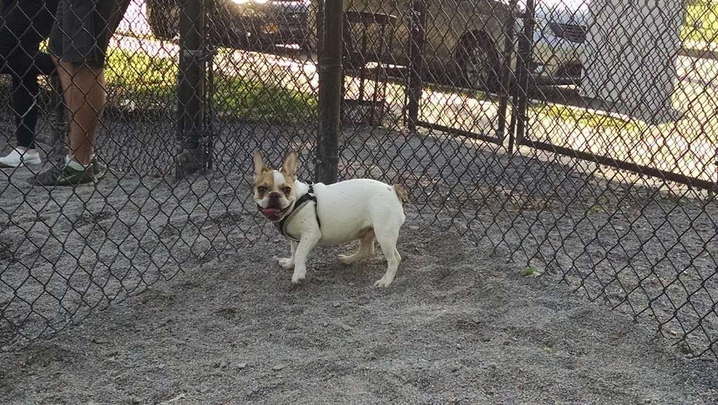 Bark Park - Off-Leash Dog Run | 465 Main St E, White Plains, NY 10604, USA