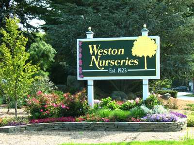 Weston Nurseries | 93 E Main St, Hopkinton, MA 01748, USA | Phone: (508) 435-3414