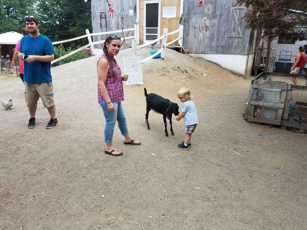 Carriage Shack Farm | 5 Dan Hill Rd, Londonderry, NH 03053, USA | Phone: (603) 716-0629