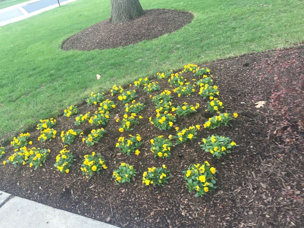 Beneficial-Hodson Library | 401 Rosemont Ave, Frederick, MD 21701, USA | Phone: (301) 696-3909