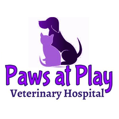 Paws At Play Veterinary Hospital | 9108 Glenwood Ave, Raleigh, NC 27617, USA | Phone: (919) 785-9410