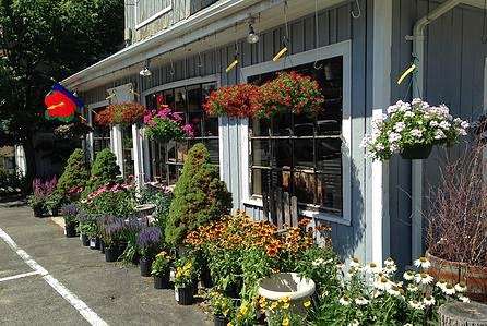Georges Flower Shop | 471 Lynnfield St, Lynn, MA 01904, USA | Phone: (781) 595-0592