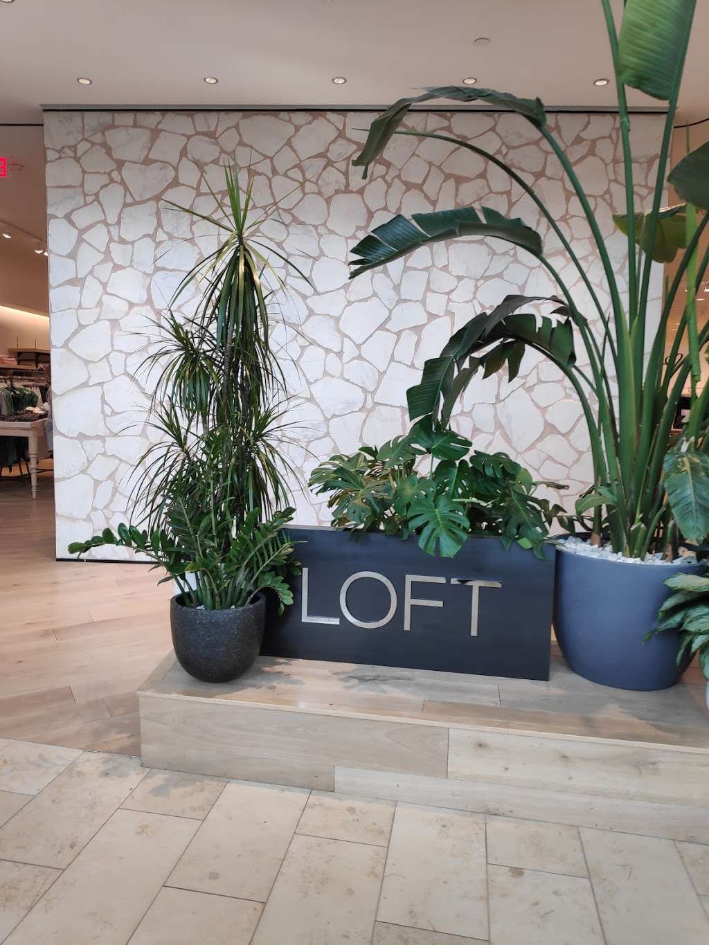 LOFT | 1 Garden State Plaza Blvd, Paramus, NJ 07652, USA | Phone: (201) 845-8810