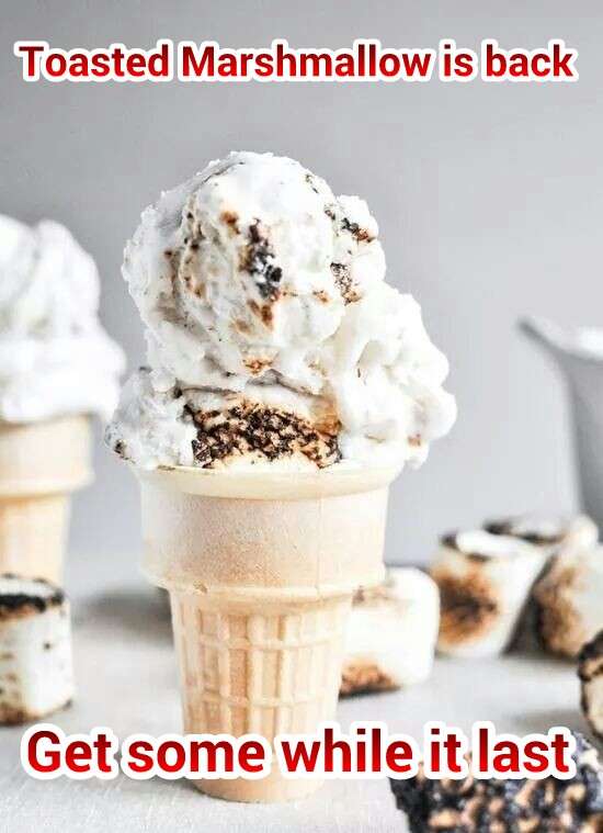 Loxahatchee Ice Cream & Coffee | 7070 Seminole Pratt Whitney Rd #2, Loxahatchee, FL 33470, USA | Phone: (561) 223-2510