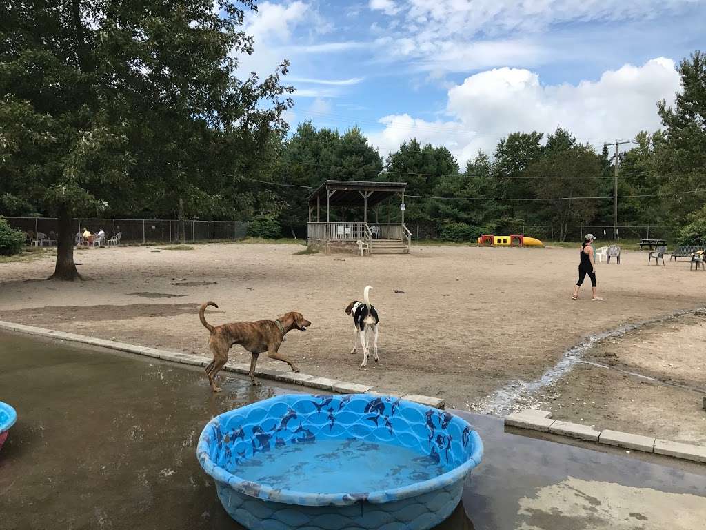 Derry Dog Park | Fordway Extension, Derry, NH 03038, USA | Phone: (603) 432-6136