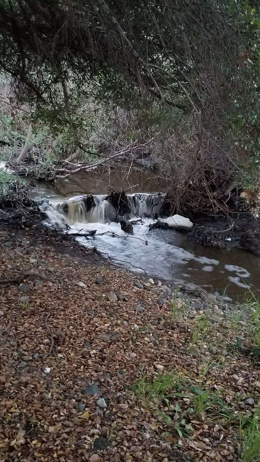 Silver Creek Linear Park Meadows Picnic Area | San Jose, CA 95138, USA