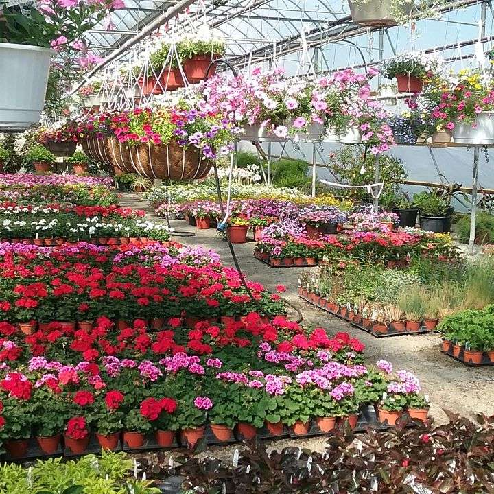 Kuperus Farmside Gardens & Florist | 19 Loomis Ave, Sussex, NJ 07461, USA | Phone: (973) 875-3160