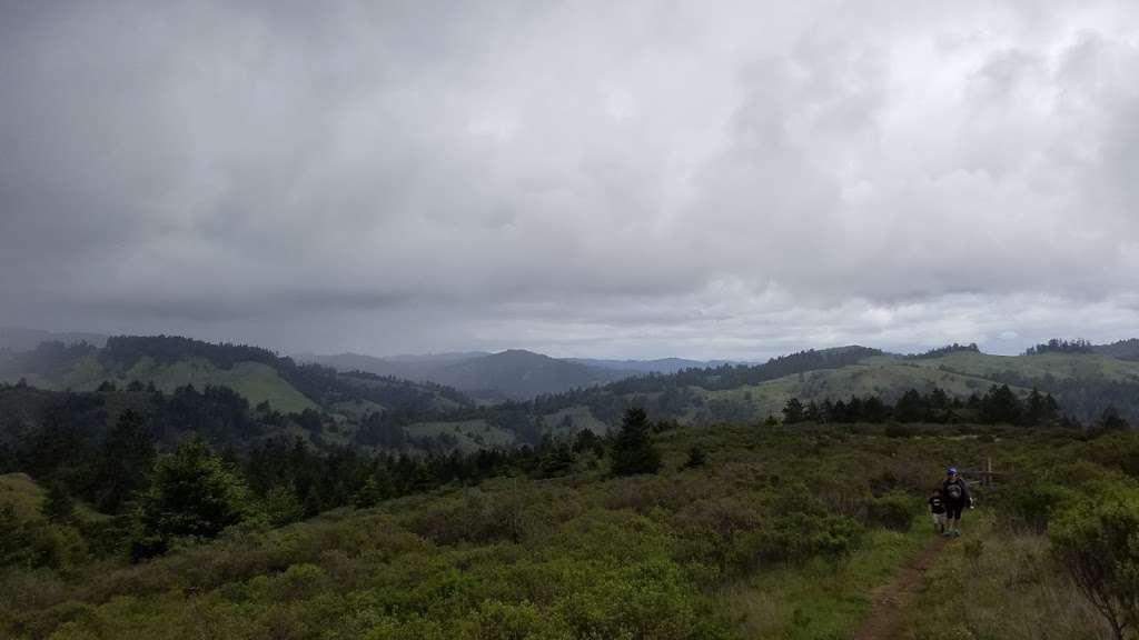 Pomo Canyon Trail | Pomo Canyon Trail, Duncans Mills, CA 95430, USA