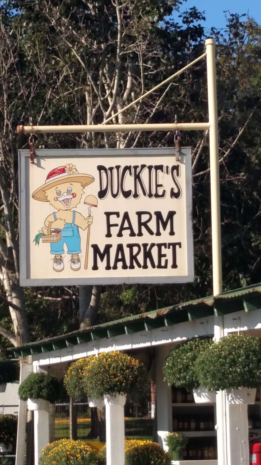 Duckies Farm Market | 736 Broadway, Cape May, NJ 08204, USA