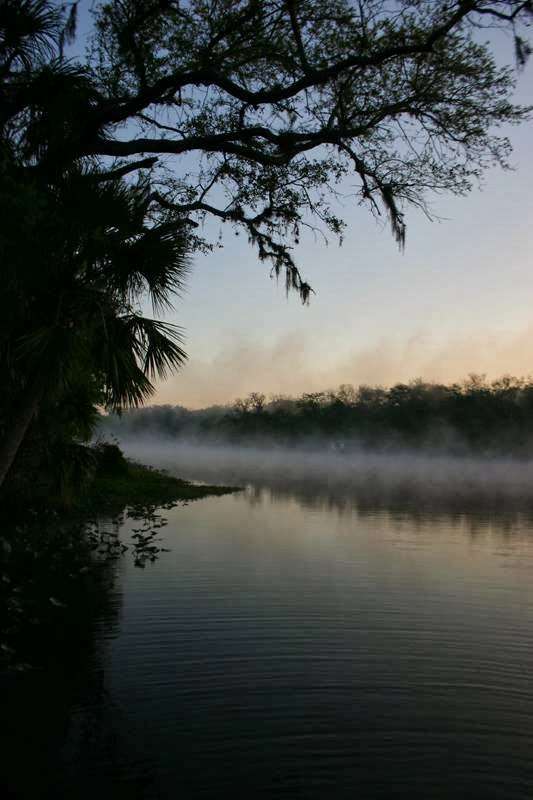 Capt Ernie Brundage St. Johns River Tours | 55716 Front St, Astor, FL 32102, USA | Phone: (866) 349-0674