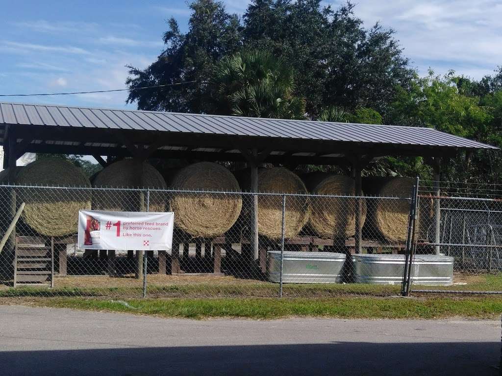 Florida Farm & Ranch Supply | 2975 FL-60, Bartow, FL 33830, USA | Phone: (863) 533-1814