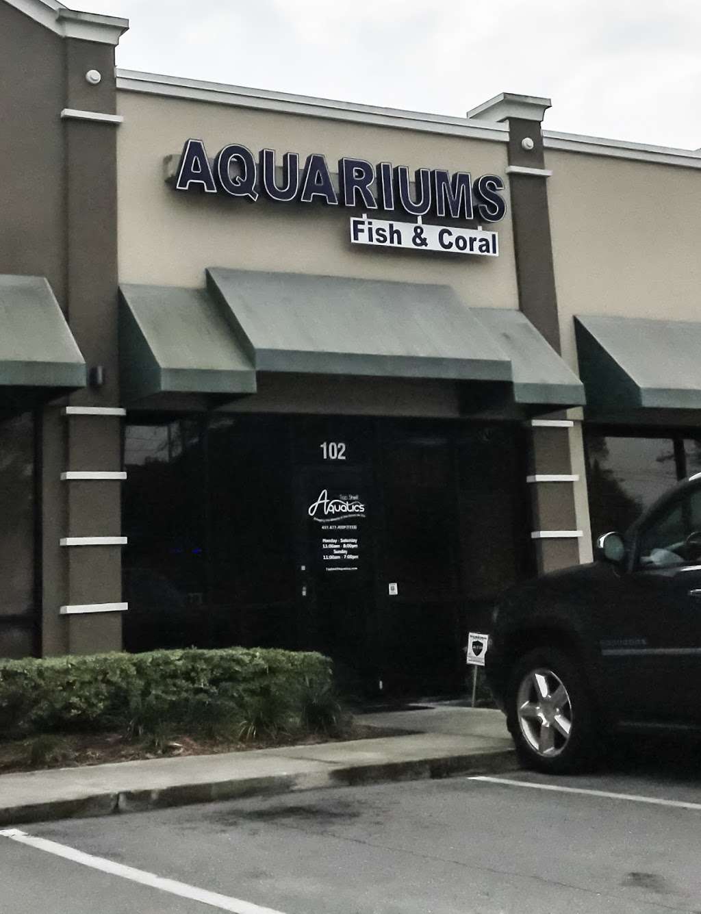 Top Shelf Aquatics | 7250 Aloma Ave #102, Winter Park, FL 32792 | Phone: (407) 677-7333