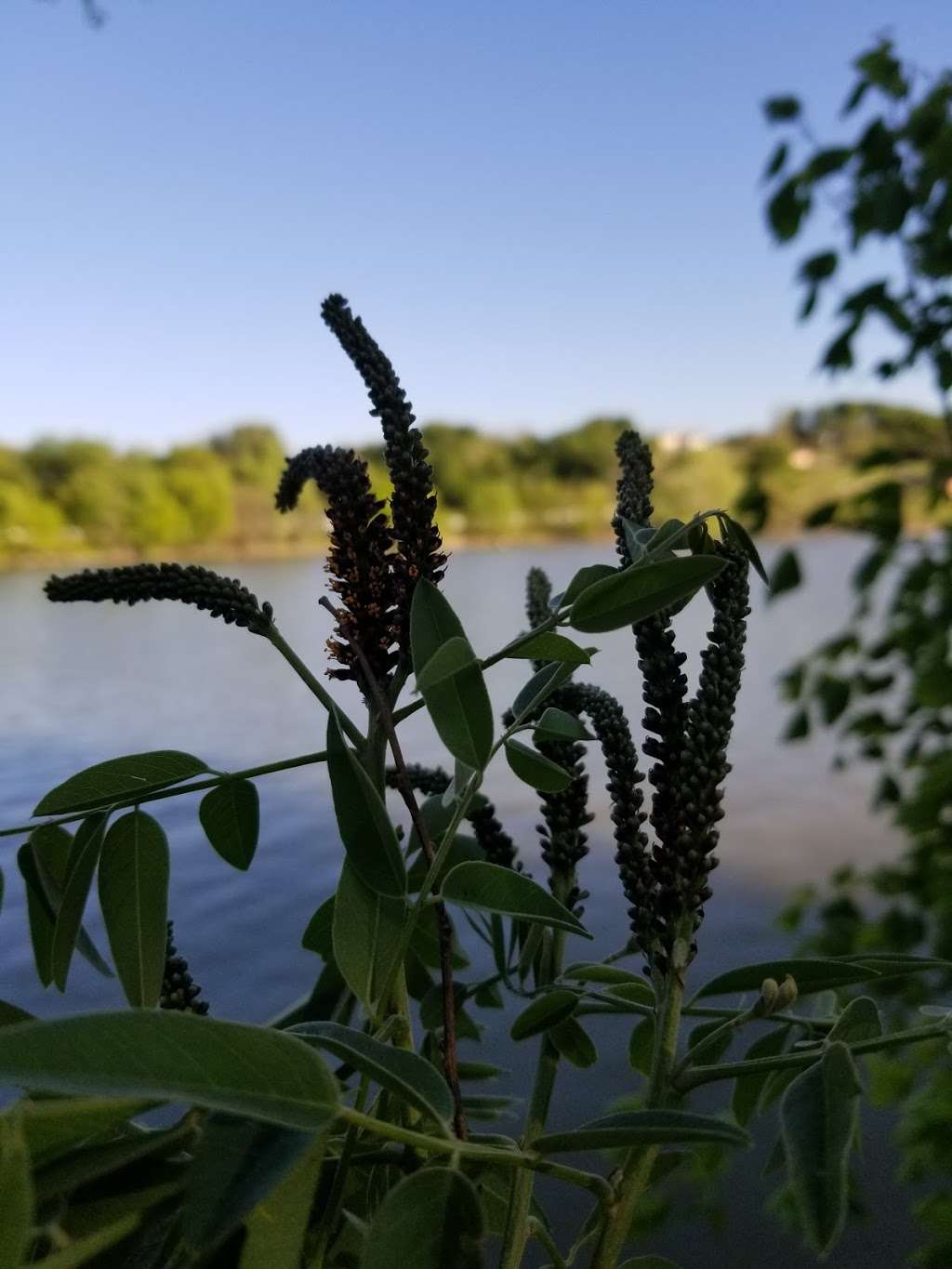 Rowlett Nature Trail | 1610 Miller Rd, Rowlett, TX 75088 | Phone: (972) 412-6145