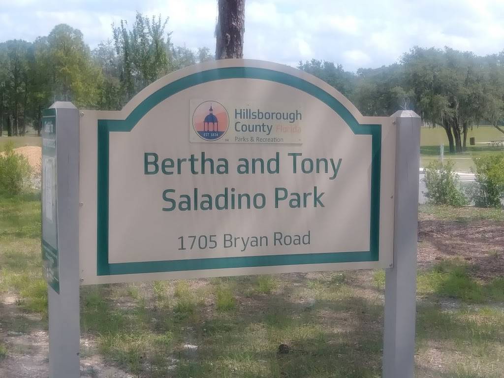 Bertha and Tony Saladino Park | 1705 Bryan Rd, Brandon, FL 33511, USA | Phone: (813) 744-5595