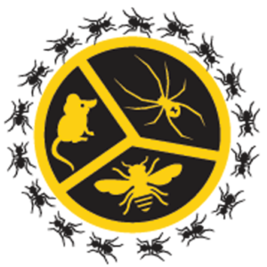 Bee Smart Pest Control | 3468 E 138th Ave, Thornton, CO 80602 | Phone: (720) 937-0527