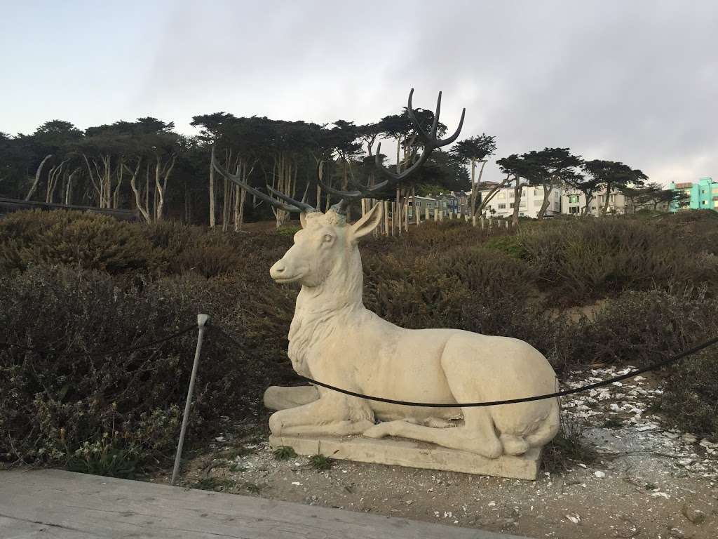 Lands End Lookout Visitor Center | 680 Point Lobos Ave, San Francisco, CA 94121, USA | Phone: (415) 426-5240