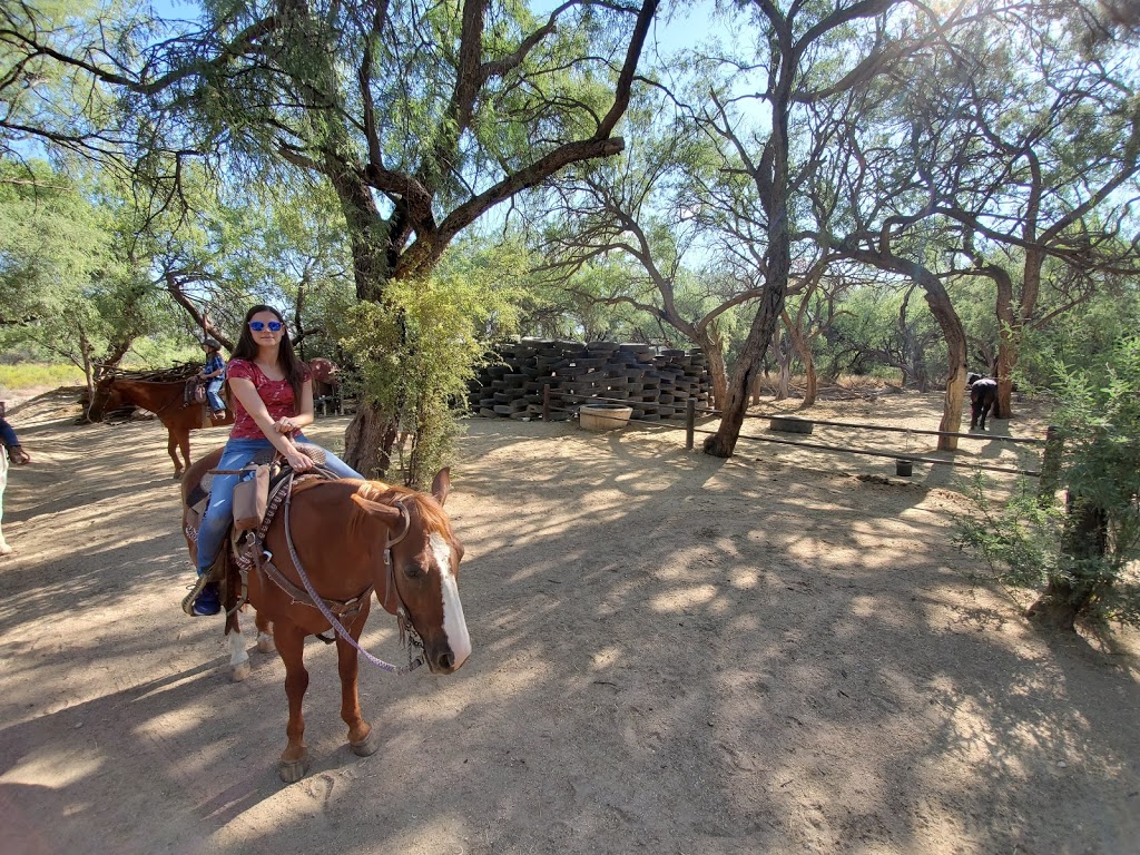 Houstons Horseback Riding | 12801 E Speedway Blvd, Tucson, AZ 85748 | Phone: (520) 298-7450