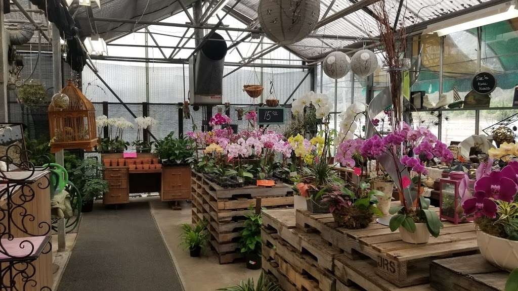 Repetto Florist and Nursery | 12331 San Mateo Rd, Half Moon Bay, CA 94019 | Phone: (650) 726-6414