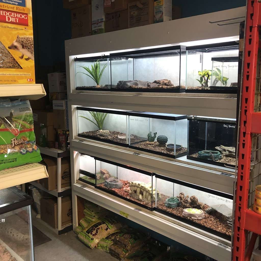 New England Tropical Pet | 49 Drum Hill Rd, Chelmsford, MA 01864, USA | Phone: (978) 453-3626