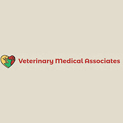Veterinary Medical Associates | 6210 Industrial Ct, Greendale, WI 53129, USA | Phone: (414) 421-1800