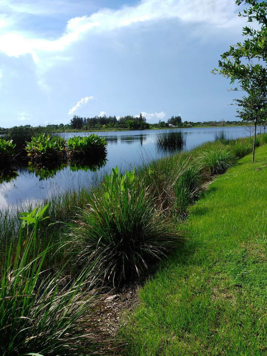 Kitching Creek Preserve | 6125 SE 138th St, Hobe Sound, FL 33455, USA