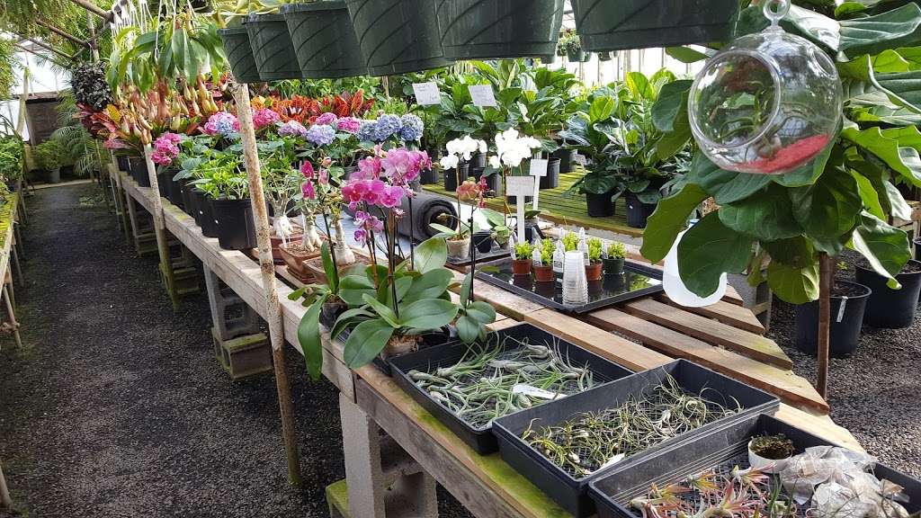 Oakdale Greenhouses, LLC | 5626 Statesville Rd, Charlotte, NC 28269, USA | Phone: (704) 596-4052