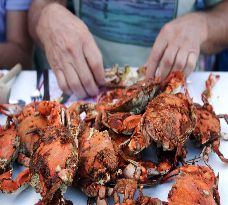 Chesapeake Crab Connection Co | 300 S 3rd St, Oxford, PA 19363 | Phone: (610) 932-7499