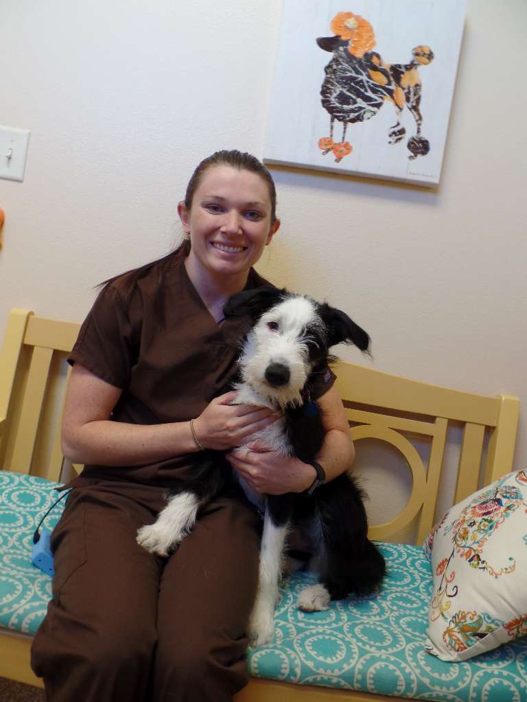 The Meadows Veterinary Center | 8030 S Co Rd 5, Windsor, CO 80528, USA | Phone: (970) 223-9800