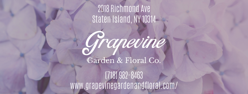 Grapevine Garden And Florist | 2018 Richmond Ave, Staten Island, NY 10314, USA | Phone: (718) 982-8463