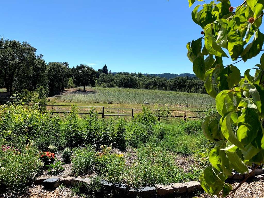 Russian River Vineyards | 5700 CA-116, Forestville, CA 95436, USA | Phone: (707) 887-3344