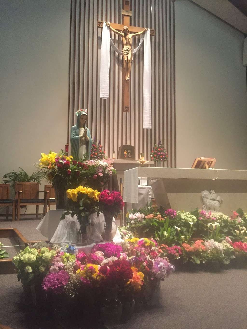 Blessed Sacrament Catholic Church | 600 Oblate Dr, San Antonio, TX 78216, USA | Phone: (210) 824-7231