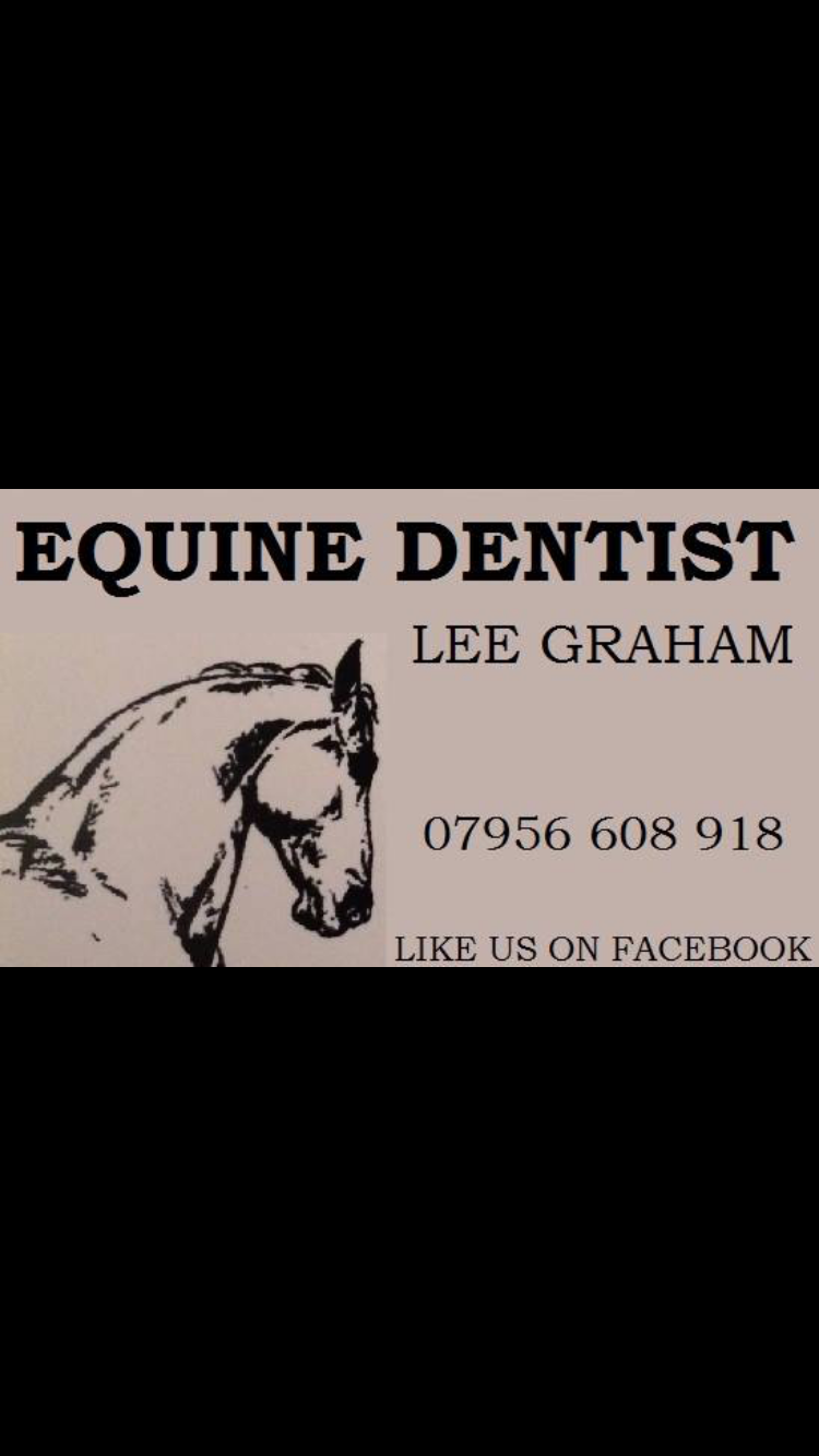 Lee Graham Equine Dentist | Yalding, Maidstone, Kent ME15 0PJ, UK | Phone: 07956 608918