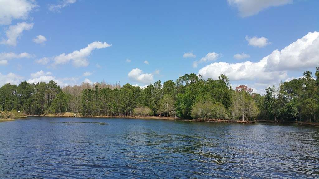 Boat Launch - Treehouse Villas at Disneys Saratoga Springs Reso | Lake Buena Vista, FL 32830