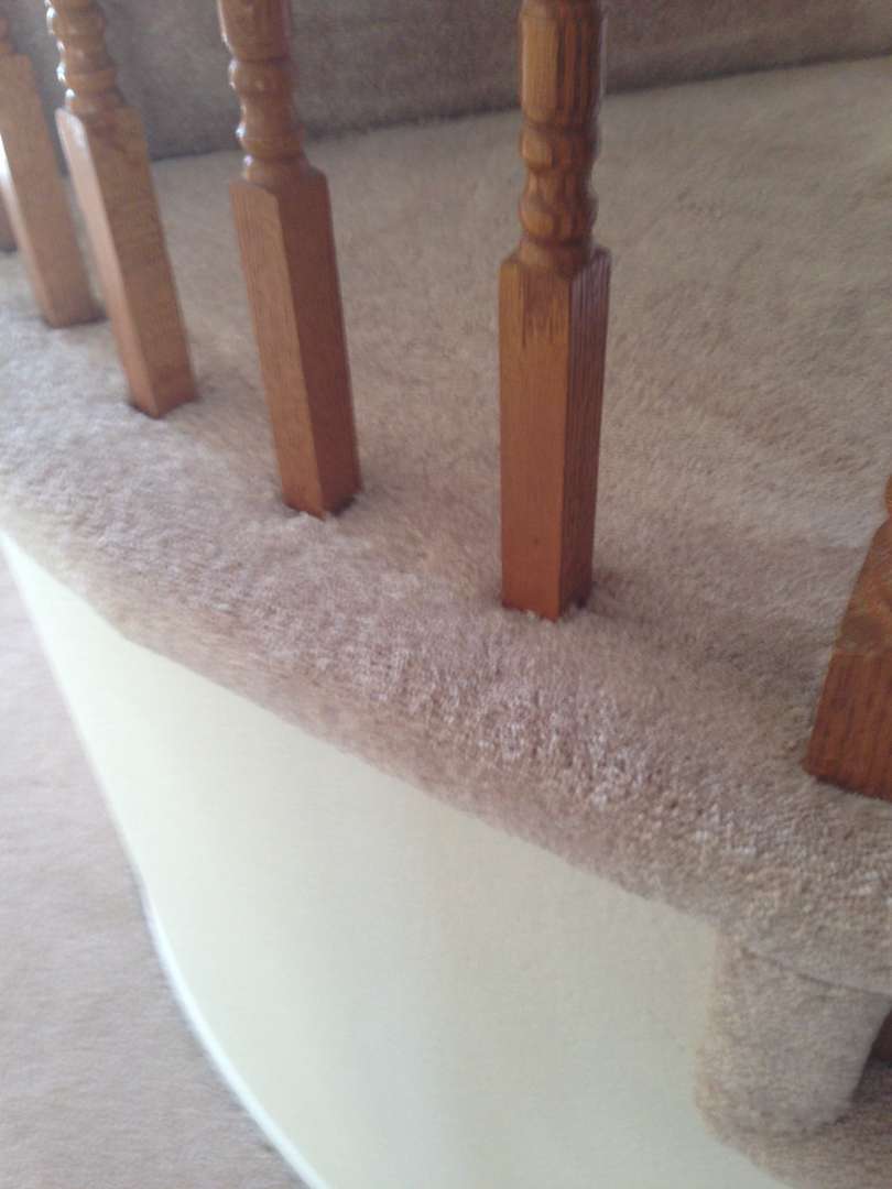 WATKINS CARPET CLEANING | 1709 Church St, Redlands, CA 92374, USA | Phone: (909) 708-6229