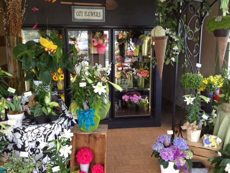 Stoughton Flower Shop | 681 Washington St, Stoughton, MA 02072, USA | Phone: (781) 344-2632
